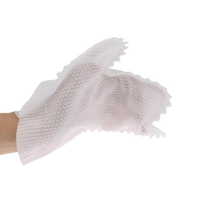 China Room Cleaner 2021 Popular Disposable Nonwoven Dusting Cloth Dusting Dusting Mitt for Hair and Dust Pet Allergens for sale