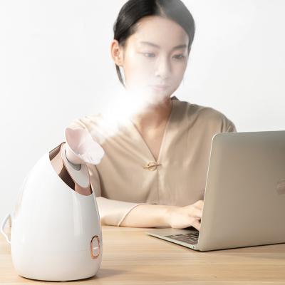 China 2020 Nano Warm Nano Ionic Humidifier DEEPLY CLEANSING Facial Mist Facial Steamer for Women Moisturizing Cleansing Pores for sale