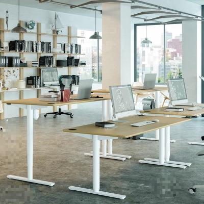 China Factory Adjustable (Height), Lift Desk Mechanism, ODM/OEM for sale