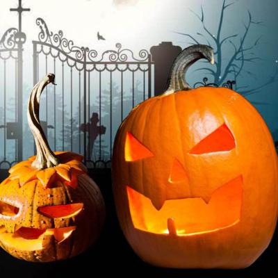 China High Quality Customized Halloween Party Pumpkin Light Custom Small Large Plastic Halloween Pumpkin Light Decorations for sale