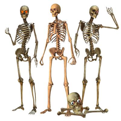 China Halloween Plastic Skeleton Ghost Life Size Scary Haunted House Props Party Decorations Halloween Skeleton Giant for sale