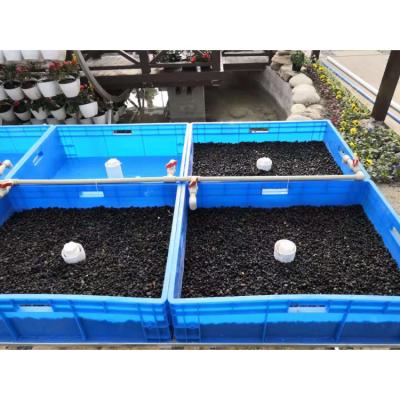 China Agriculture Planting System New Arrival Ecological Aquarium With Plant Planter Aquaponic Symbiotic System for sale