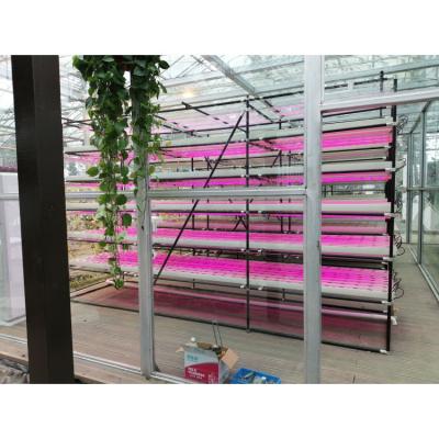 China China Wholesale Price Indoor Full Rig Iron Vertical Farm Equipment For Sale for sale