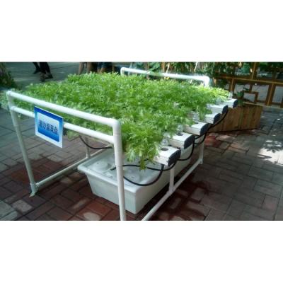 China Farms Best Quality NFT Strawberry Hydroponic System Hydroponic Growing Vertical Culture for sale