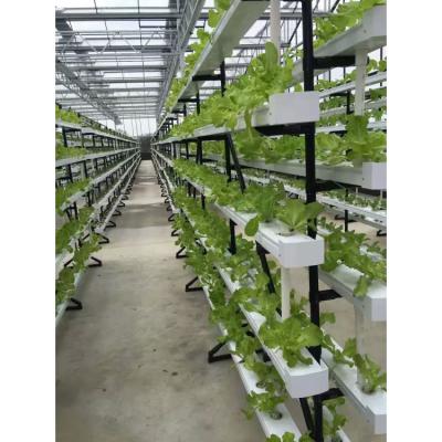 China Hydroponic farms plant outlet system multi-layers growing system save water and eazy growing for sale