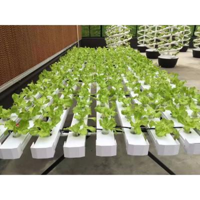 China Factory Price Wholesale NFT DFT Vertical Farm Hydroponic System For Agriculture for sale