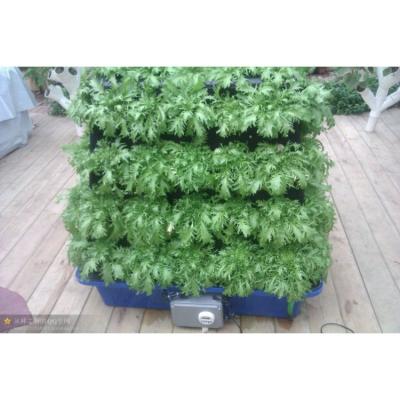 China Stable Structure Top Selling Italic Type Aeroponics Commercial Hydroponic Growing System For Sale for sale