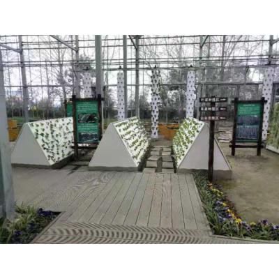 China Manufacturers china wholesale stable structure aeroponic cultivation system for vegetable for sale