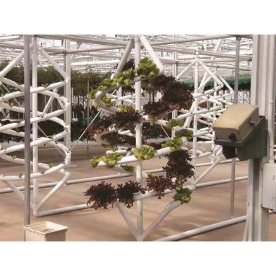 China Hydroponic Farms Greenhouse Hydroponics Hydrophone House System Agricultural Hydroponic Growing Vertical for sale