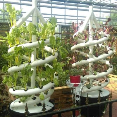 China Farms Double Tube Spiral Culture System Soilless Cultivation And Hydroponic Equipment for sale