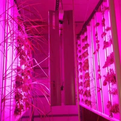 China Grows hydroponics nft strawberry and flower system commercial vertical zipgrow growing tower for sale