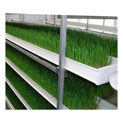 China Wholesale hydroponics irrigation&hydroponics eqiupment farms manufacturers china foddersystem for sale