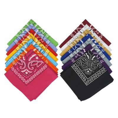 China Wholesale Paisley Pattern Classic Two Size Printing 55*55CM 100% Polyester Bandanas Paisley Square Bandana for sale