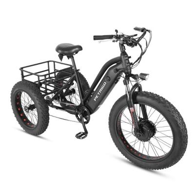 China PETRIGO Aluminum Alloy Lithium Battery Fat Tire Electric Tricycle High Quality Battery For 3 Wheel 1 Seat Electric Tricycle for sale