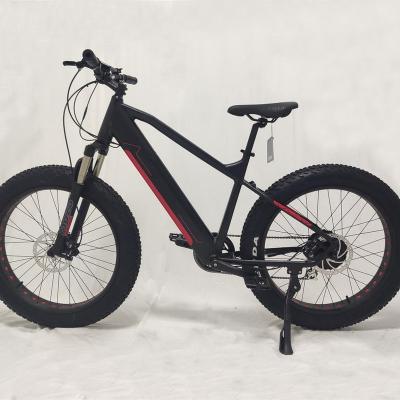 China Aluminum Alloy PETRIGO Fat Tire E-BIKE Fat Bike Bicycle Mountain Electric Snow Bike Beach Cruiser for sale