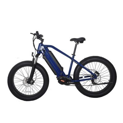 China Aluminum Alloy PETRIGO 48v1000w 14ah Dual Battery Fat Bike SAMUNG Fat Tire Mid Motor BAFANG Mountain Electric ebike for Riders for sale