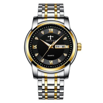 China Factory Wholesale Fashion Luxury Water Resistant Automatic Date Wristwatches Custom Made Watches With Big Cheap Price TRSOYE TRS838 for sale