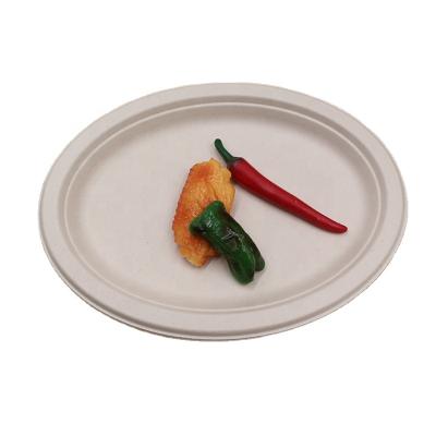 China Eco-friendly Biodegradable Sugarcane Bagasse Disposable Tableware Plates for sale