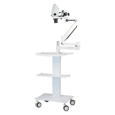 China Hot Sale Portable Dental Microscope /Operation Camera Surgical Operating Dental Microscope HYG-MS2 for sale