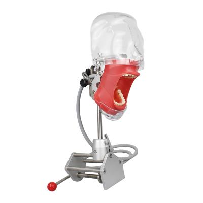 China Dental Lab for Education Dentist Training Practice Dental Manikin Manual Simulator Phantom Head Equipment for sale