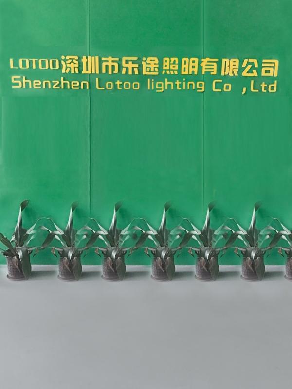 Verified China supplier - Shenzhen Lotoo Lighting Co., Ltd.