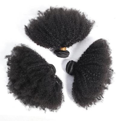 China Afro DZ021 Remy Human Hair Extensions African Curly Curly Kinky Curly Wig Small Brazilian Hair Extensions for sale