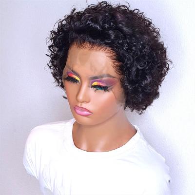 China HL559 Pixie Cut Wig Short Curly Hair Wigs Cheap Transparent Hair 13X1 Lace Wig For Women for sale