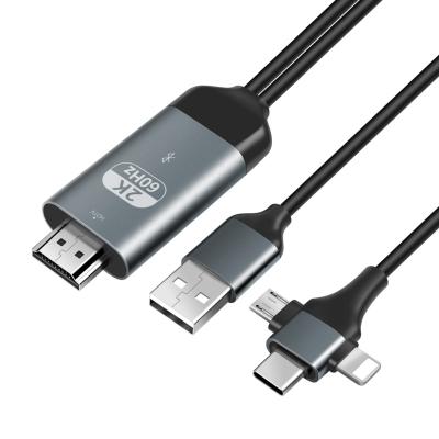 China Newest Factory Wholesale USB Type C Cable HDTV to HDTV Cable Black PVC 2M Cable Type c to HDTV Cable 3 in 1 for HDTV 2k4k 60hz for sale