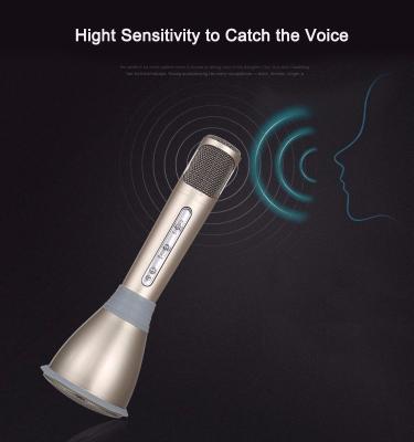 China bluetooth handheld microphone,1000mAh Portable Built-in Bluetooth Speaker for sale