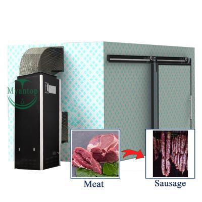 China High Efficient Durable Low Price Stainless Steel Body Electric Air-Contoured Sausage Meat Dehydrator Dryer Machine for sale