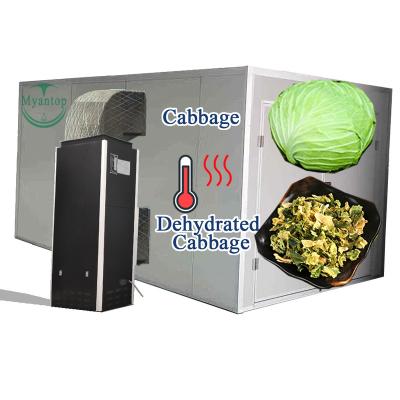 China Commercial Automatic Control Durable Temperature Body Stainless Steel Cabbage Fish Fruit Dryer Electric Dehydrating Machine for sale