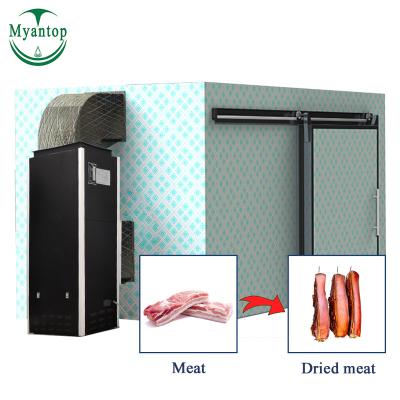 China Durable Commercial Food Processing Fish Meat Body Stainless Steel Drying Machine for sale