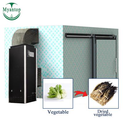 China Stainless Steel Durable Body Professional Vegetable Seafood Dehydrator Dryer Heat Pump Machine for sale