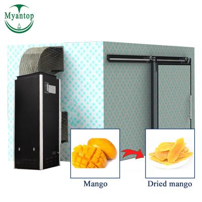 China Durable Stainless Steel Body Mango Apple Fruit Drying Machine Heat Pump Air Dryer Food Dehydrator Machine for sale