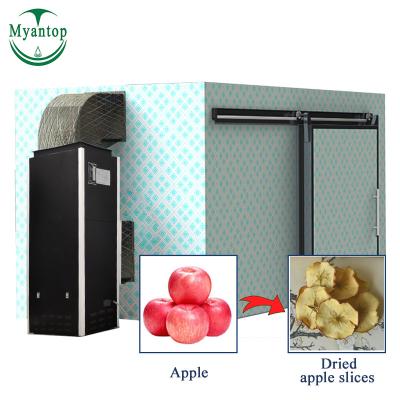 China Durable Stainless Steel Body Apple Pineapple Banana Dehydrator Evaporation Machine for sale