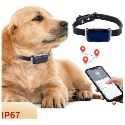 China Pet Tracking Hot Sales Waterproof GPS Dog Tracker Location and Activity Chain and Unlimited Works with Any Collar Pet Tracker Wholesale for sale