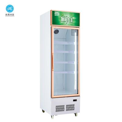 China Large Refrigerators Eco - Friendly Commercial Freezer Commercial Refrigerator Commercial Refrigerator Display for sale