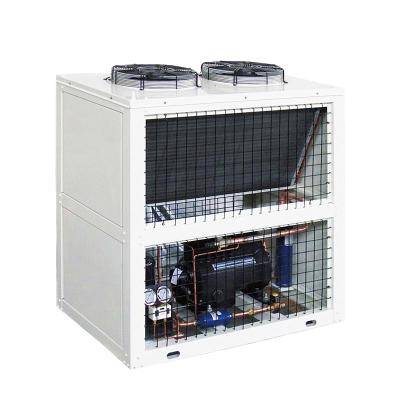 China Easy Unit Air Cooled Unit Cold Room Condenser Condenser V Type Condensing Unit For Refrigerator for sale