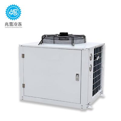 China Condensing Condensing Unit Easy Box Cold Room Small Condensing Unit In Refrigeration For Chilled for sale