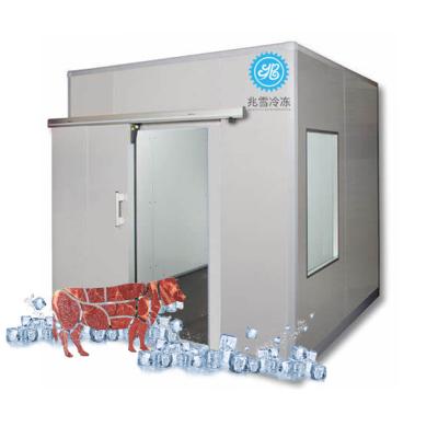 China Hotels Cold Storage Warehouse Cold Room Panels Cold Room Door Freezer Cold Room Walk-In Blow Freezer for sale