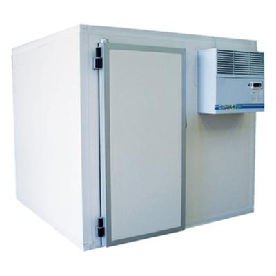 China Fresh Food Coldroom Store , Deep Freezer 2-8 Degree 400L Frozen Cold Rooms for sale