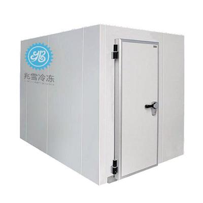 China 20ft Cold Room Refrigerated Container Food Factory Cold Room Container Cold Room For Meat Storage for sale