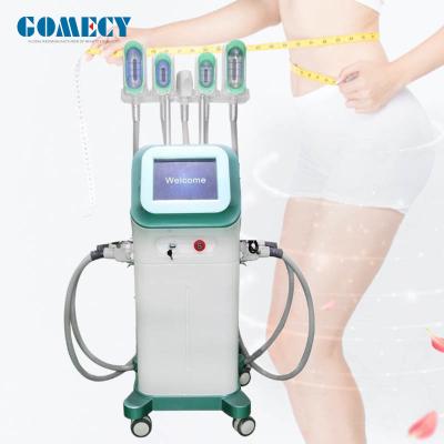 Cina Macchina per lo smistamento con congelamento dei grassi per la cryolipolisi Equipaggiamento per la riduzione della cellulite 1000W in vendita