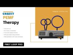 PMST LOOP PRO