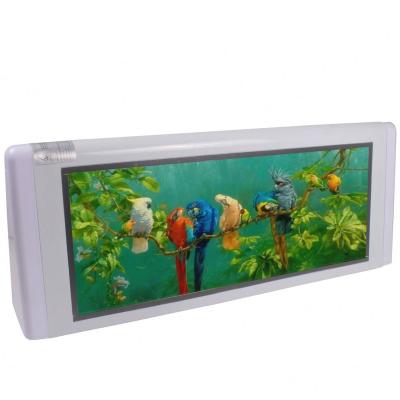 China Indoor Control System 3G Taxi Roof LED Sign Advertising Board 2019 Low Price for sale