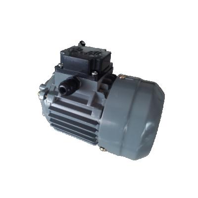 China Good Quality 50Hz-60HZ 220V-380V Commercial Customized Gray Copper Oil Pump Motor for sale