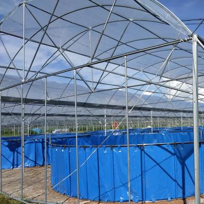 China Aquaponics Full System Vegetable Plantation Typical Construction Fish Farm And Fish Farm With Commercial Hydroponics Tank And Greenhouse System for sale