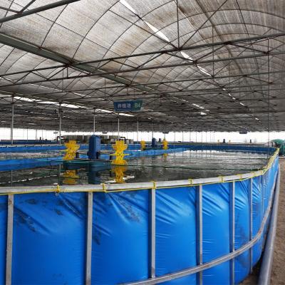 China Fish Farming And Vegetable Growing Systems Aquaponics Aquaponics Commercial Planting Systems With Aquaculture Shrimp Farming for sale