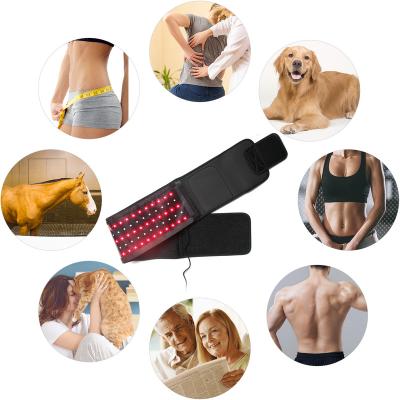 China Convenient 660NM850nm Weight Loss Therapy Belt LED Red Light Beauty Salon Analgesic Infrared Pulse Therapy Instrument for sale