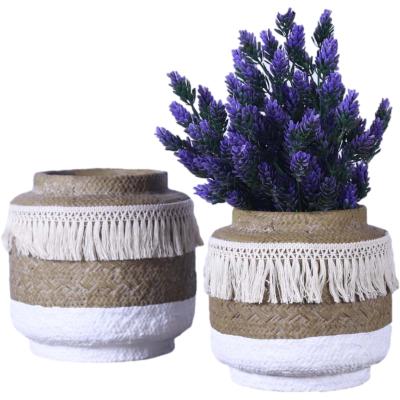 China Cartoon Lavender Bottom Floor Black Garden Cheap Fringed Outdoor Concrete Flower Pot For Living Room for sale